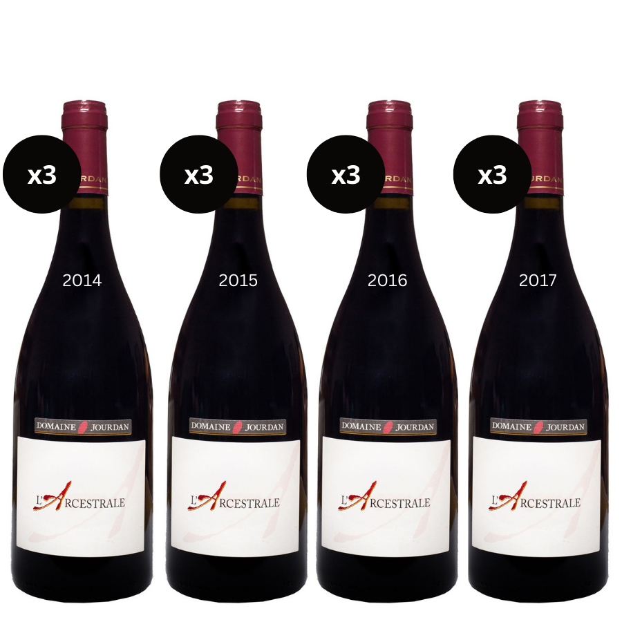 Vertical 2014/2015/2016/2017 Domaine Jourdan "L'Arcestrale" Chinon Cabernet Franc 12-bottle case